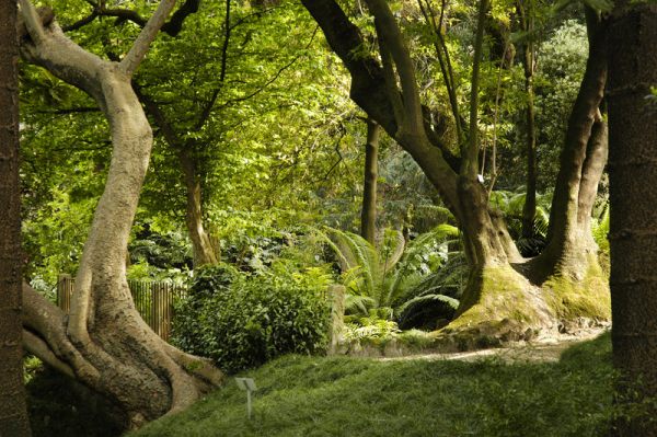 Secret garden, canvas, 120x180cm