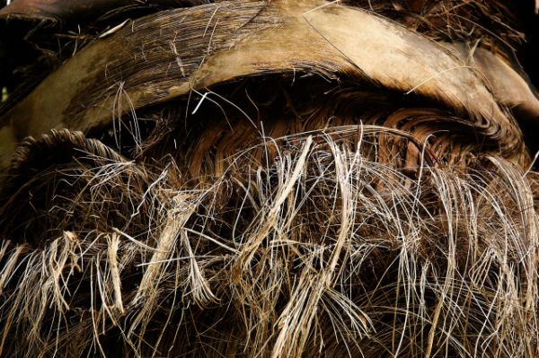 Light and shade #1, fine art paper, 40x60cm