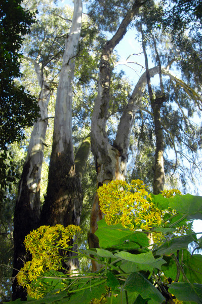 Layers of light, canvas, 100x150cm