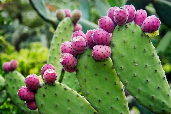 Glowing, #2, 40x60cm