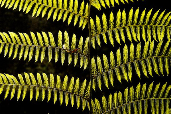 Light and shade #5, fine art paper, 40x60cm