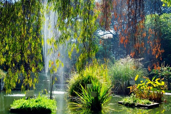 Autumn screens (2 of tryptic 70x195cm)