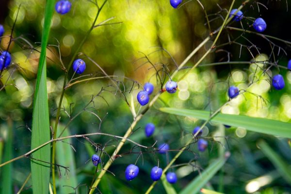 Glowing, #3, 40x60cm