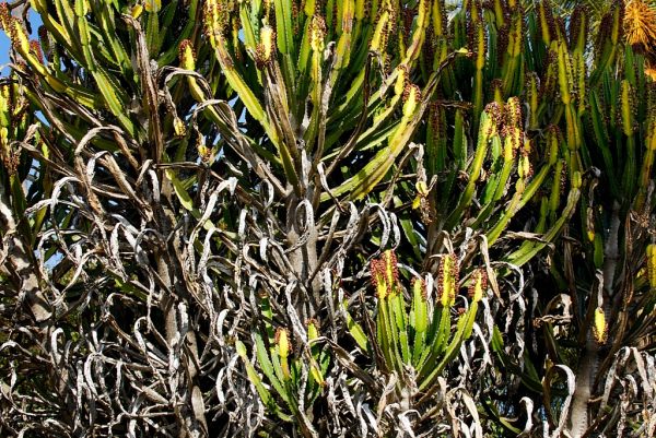 Light and shade #6, fine art paper, 40x60cm