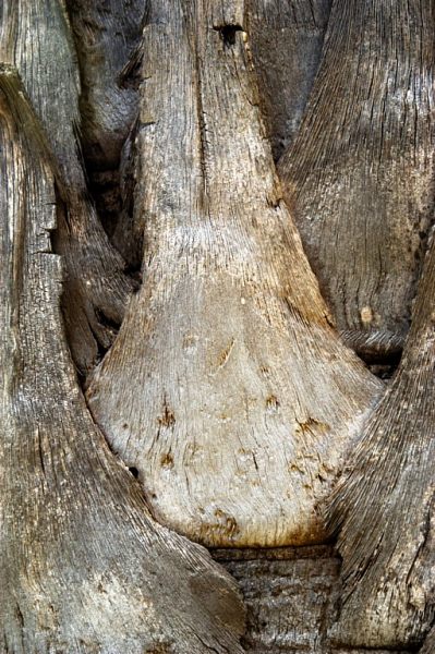 Alive (4 of 5-image set 50x135cm)