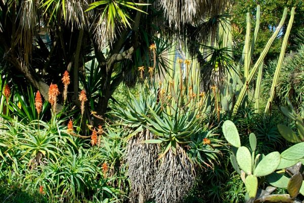 Garden tapestry, canvas, 100x150cm