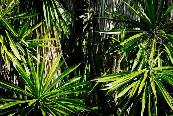 Light and shade #4, fine art paper, 40x60cm