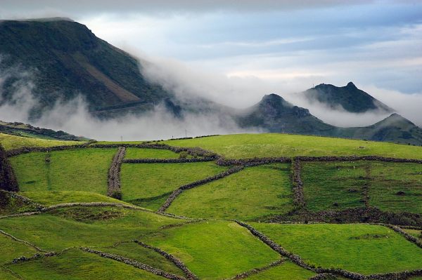 Flores #2,  A�ores