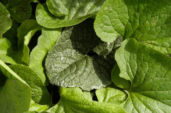 Ehringshausen, Germany